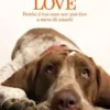 Dog is love