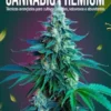 Domine o Cultivo de Cannabis 2026: Guia Completo Indoor e Outdoor — Da Semente à Colheita para Maximizar THC, CBD e Produção em Qualquer Espaço