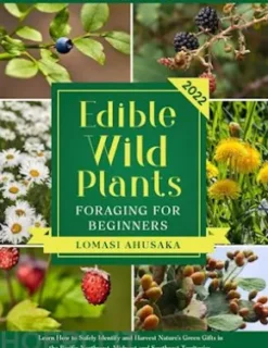 Edible Wild Plants Foraging for Beginners