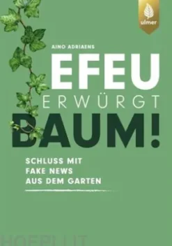Efeu erwürgt Baum