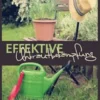 Effektive Unkrautbekämpfung