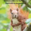 Eichhörnchen im Garten 4 / Squirrels in my garden 4