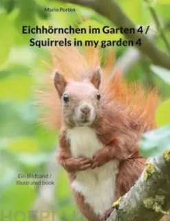 Eichhörnchen im Garten 4 / Squirrels in my garden 4