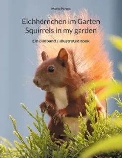 Eichhörnchen im Garten / Squirrels in my garden