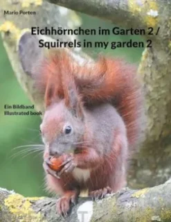 Eichhörnchen im Garten 2 / Squirrels in my garden 2