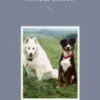 Einblicke in meine kleine Hundepension