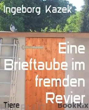 Eine Brieftaube im fremden Revier