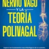 El Nervio Vago Y La Teoría Polivagal