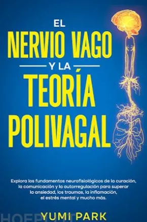 El Nervio Vago Y La Teoría Polivagal