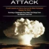 Emp Attack: Crucial Lessons on How to Survive the Most Overlooked Disaster the World (Surviving a Catastrophic Emp Attack That Brings Down the National Power Grid)