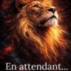 En attendant