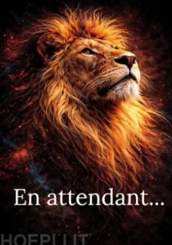 En attendant