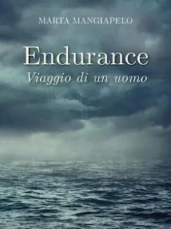 Endurance, viaggio di un uomo