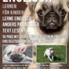 Englisch Lernen Für Kinder - Lerne Englisch Anders Paralleler Text Lesen