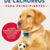 Entrenamiento De Cachorros Para Principiantes