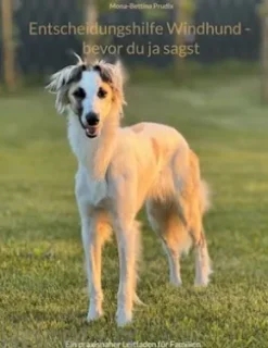 Entscheidungshilfe Windhund - bevor du ja sagst