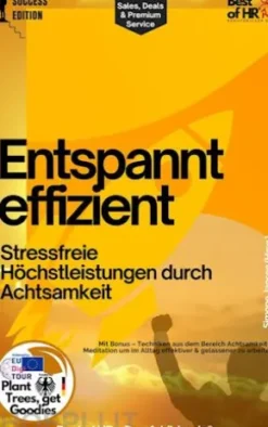 Entspannt effizient – Stressfreie Höchstleistungen durch Achtsamkeit