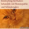 Erschöpfung bei Katzen behandeln mit Homöopathie und Schüsslersalzen
