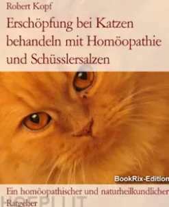Erschöpfung bei Katzen behandeln mit Homöopathie und Schüsslersalzen