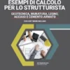 Esempi di calcolo per lo strutturista