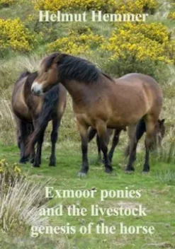 Exmoor ponies and the livestock genesis of the horse