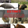 Extinct Animals