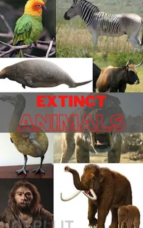 Extinct Animals