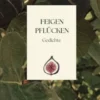 Feigen pflücken