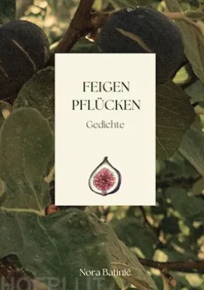 Feigen pflücken