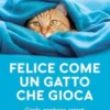 Felice come un gatto che gioca
