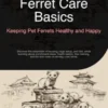 Ferret Care Basics: Keeping Pet Ferrets Healthy and Happy