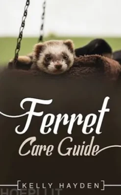Ferret Care Guide