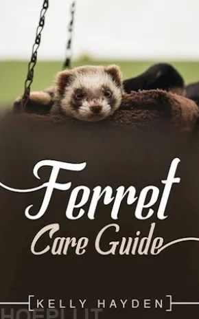 Ferret Care Guide