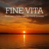 FINE VITA problematichetra diritto e morale