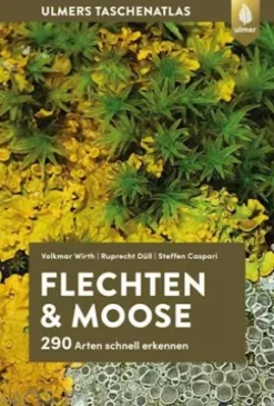 Flechten und Moose