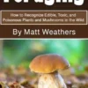Foraging
