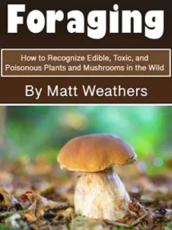 Foraging