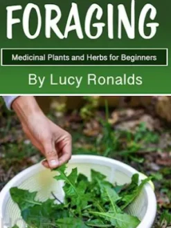 Foraging