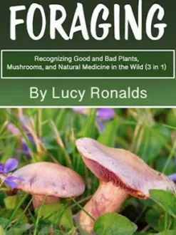 Foraging