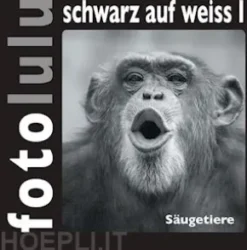 fotolulu schwarz auf weiss I