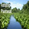 Fototrip Brasilien: Pantanal