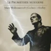 Frankenstein - Le Prométhée moderne (traduit)