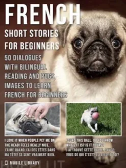 French Short Stories for Beginners