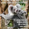 French Short Stories for Beginners - English French