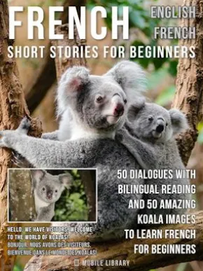 French Short Stories for Beginners - English French