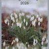 Frühlings-Anthologie 2026