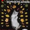 From Scratch To Sophistication