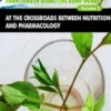 Frontiers in Bioactive Compounds: At the Crossroads between Nutrition and Pharmacology