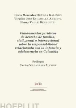 Fundamentos jurídicos de derecho de familia, civil, penal e internacional sobre la responsabilidad relacionada con la infancia y adolescencia en Colombia