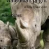 Gabriella's plight